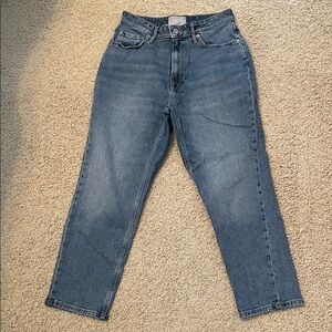 Everlane Curvy Cheeky Cropped Blue Jeans